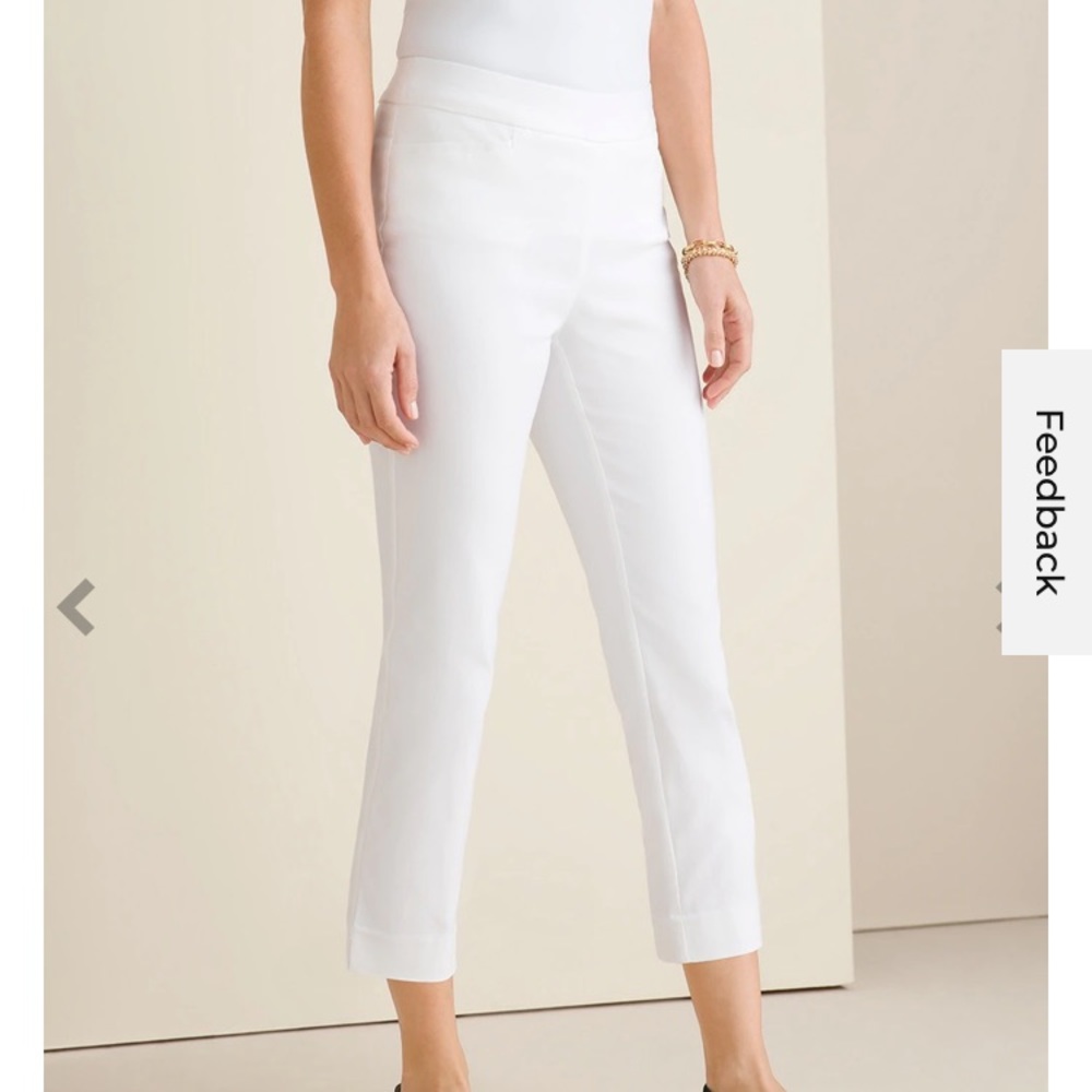 Chicos Brigitte ankle pants